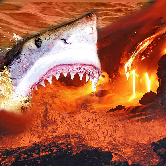 volcanosharks